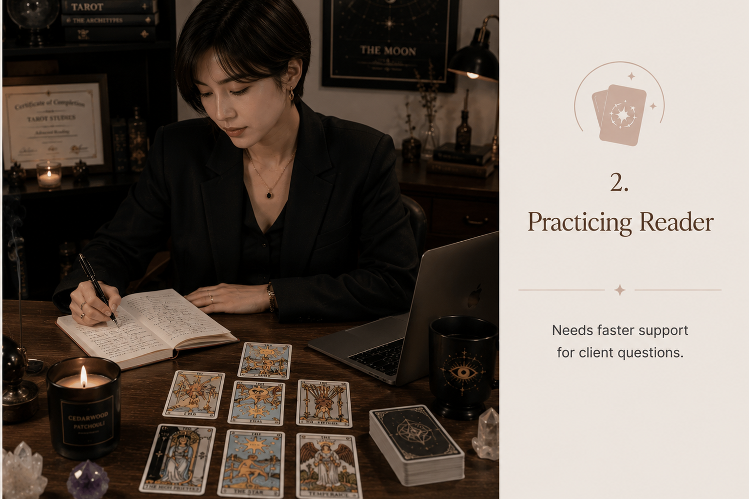 Persona: Practitioner